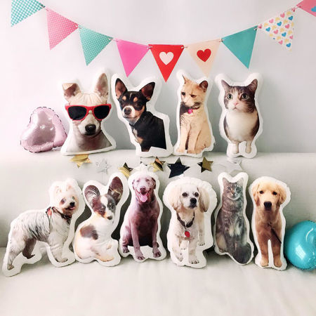 Picture for category 3D Shaped Pillows