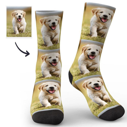 Picture of Custom Photo Socks | Personalized Photo Socks | Personalize Pet Photo Sock