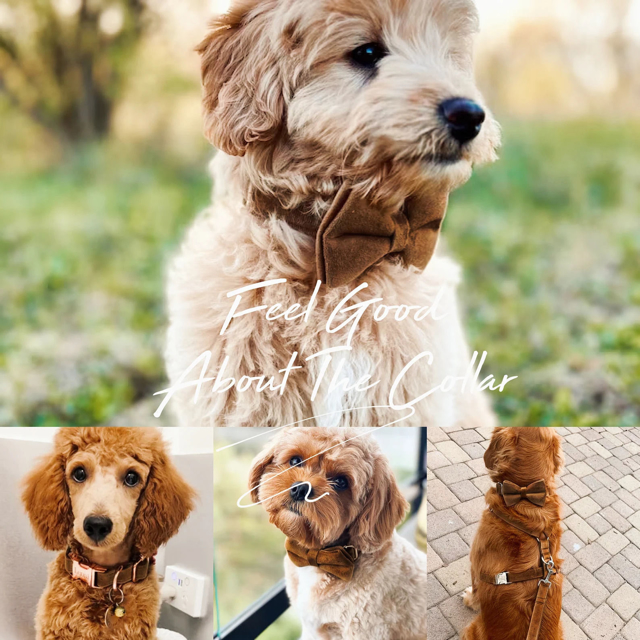 Picture of Personalized Pet Name Collar - Custom Multiple Color Velvet Dog Collar - Engraved Pet Name Tag Metal Buckle - Best Wedding and Christmas Puppy Gift