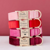Picture of Personalized Dog Name Collar - Custom Multiple Color Velvet Dog Collar Set - Engraved Pet Name Tag Metal Buckle - Best Wedding and Christmas Puppy Gift