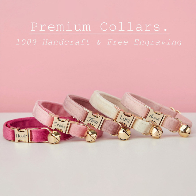 Picture of Personalized Cat Name Collar Set- Custom Multiple Color Velvet Cat Collar - Engraved Pet Name Tag Metal Buckle - Best Wedding and Christmas Puppy Gift