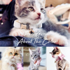 Picture of Personalized Cat Name Collar Set- Custom Multiple Color Velvet Cat Collar - Engraved Pet Name Tag Metal Buckle - Best Wedding and Christmas Puppy Gift