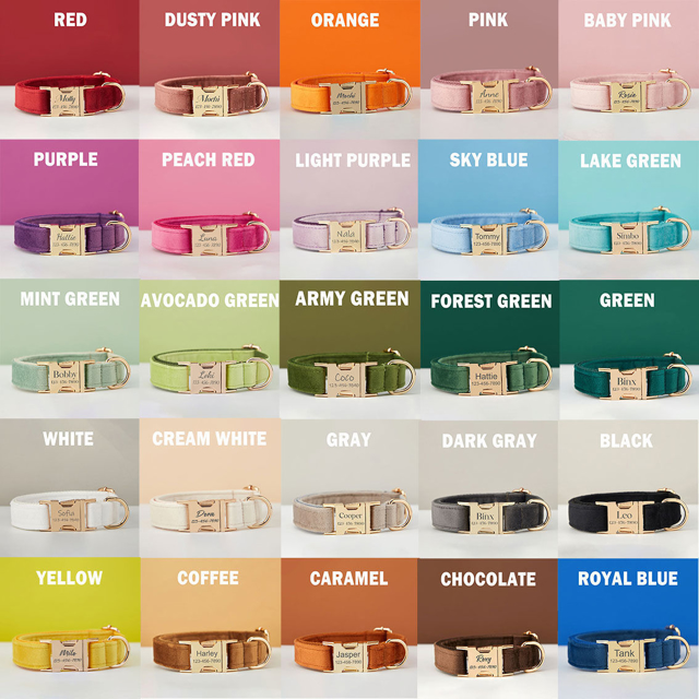 Picture of Personalized Multiple Color Velvet Dog Collar Leash Set - Engraved Pet Name Plate Metal Buckle - Best Wedding and Christmas Puppy Gift