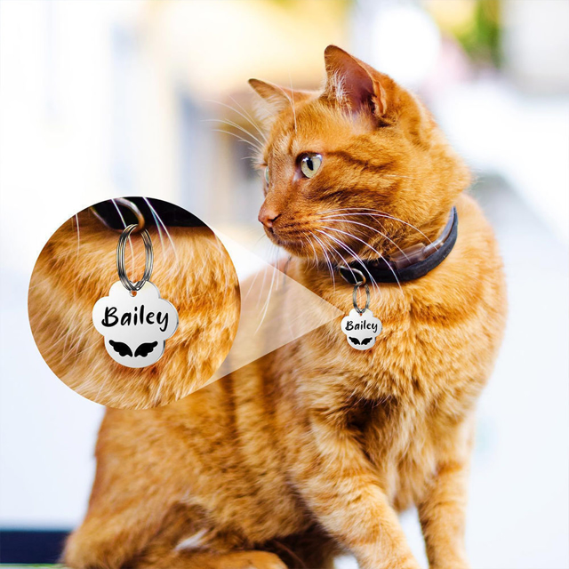 Picture of Personalized Tag for Pets with Multiple Shapes & Colors - Customized With Telephone Number - Best Gift for Pet Person