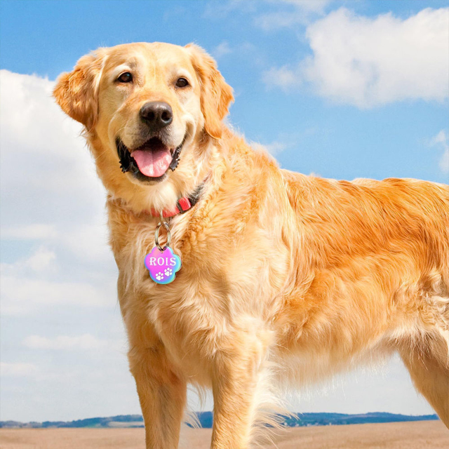 Picture of Personalized Tag for Pets with Multiple Shapes & Colors - Customized With Telephone Number - Best Gift for Pet Person