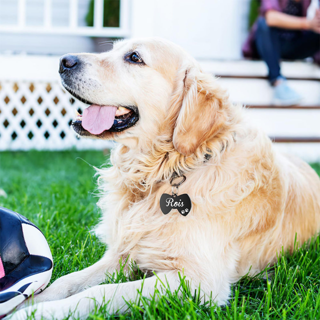 Picture of Personalized Tag for Pets with Multiple Shapes & Colors - Customized With Telephone Number - Best Gift for Pet Person