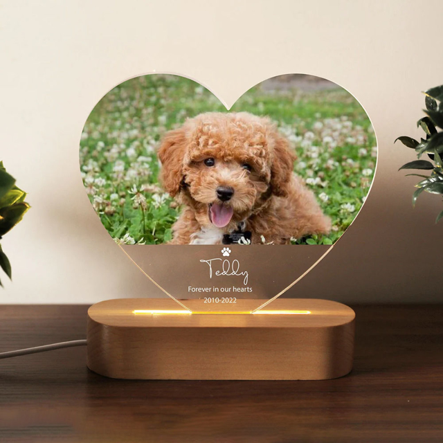 Picture of Personalized Pet Memorial Photo Night Light w/ Multiple Shapes - Custom Pet Night light -  Heartwarming Gift for Pet Person