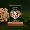 Picture of Personalized Pet Memorial Photo Night Light w/ Multiple Shapes - Custom Pet Night light -  Heartwarming Gift for Pet Person