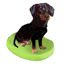 Picture of Custom Bobblehead Doll: Pet Dog Dachshunds Black